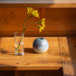 木のテーブルに飾ったTIME VASE
